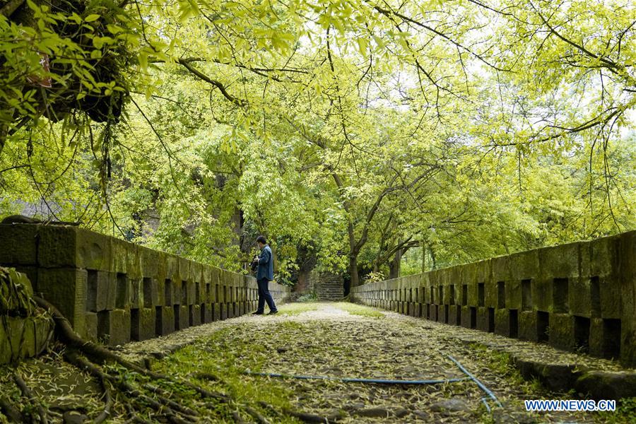 CHINA-CHONGQING-ANCIENT TOWN (CN)