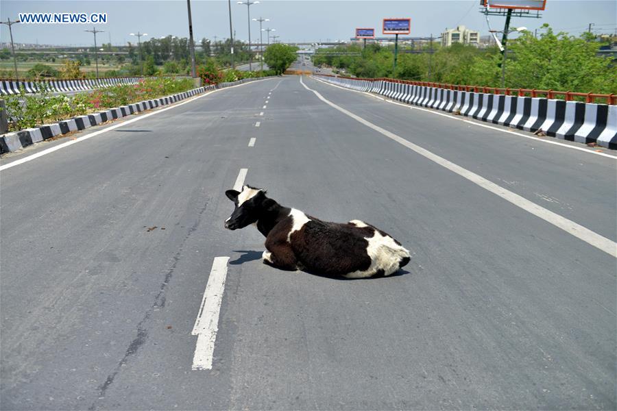 XINHUA PHOTOS OF THE DAY