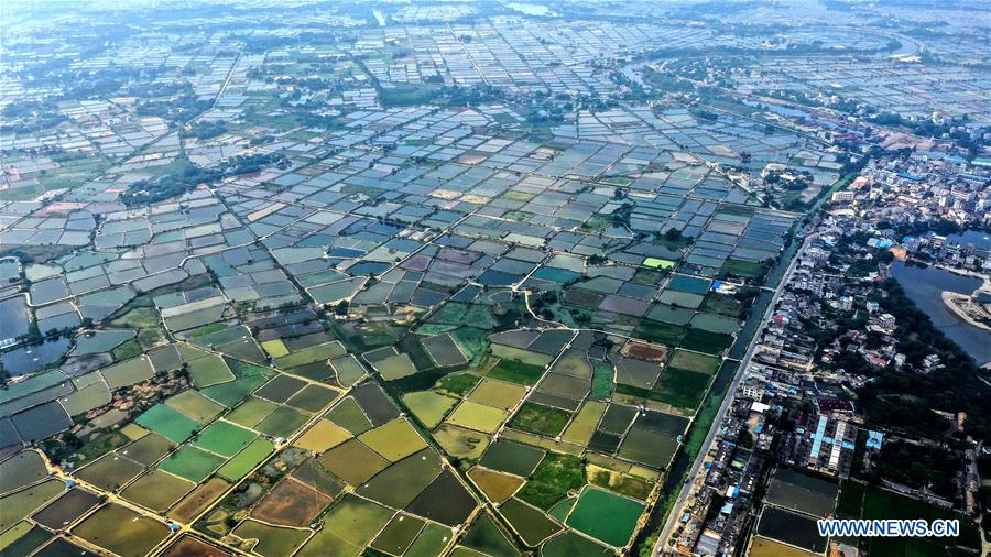 CHINA-GUANGXI-HEPU-SPRING SCENERY (CN)