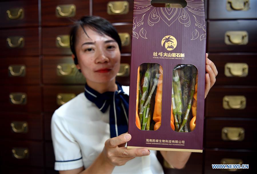 CHINA-HAINAN-TRADITIONAL CHINESE MEDICINE-PLANTING-DENDROBIUM (CN)