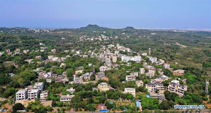 CHINA-HAINAN-TRADITIONAL CHINESE MEDICINE-PLANTING-DENDROBIUM (CN)