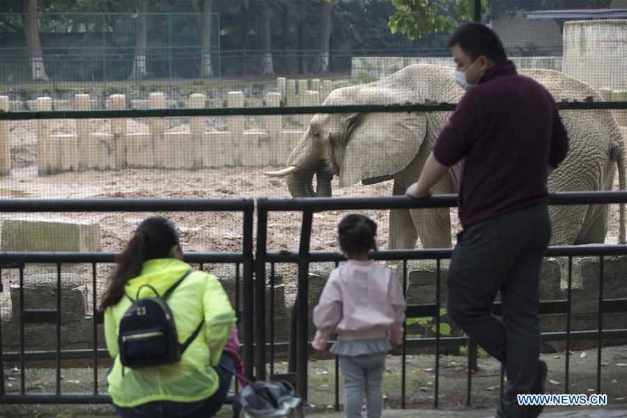 CHINA-HUBEI-WUHAN-ZOO-REOPENING (CN)