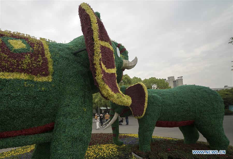 CHINA-HUBEI-WUHAN-ZOO-REOPENING (CN)