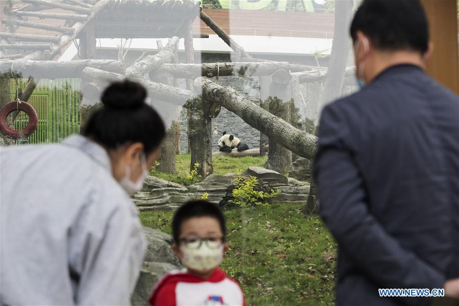CHINA-HUBEI-WUHAN-ZOO-REOPENING (CN)