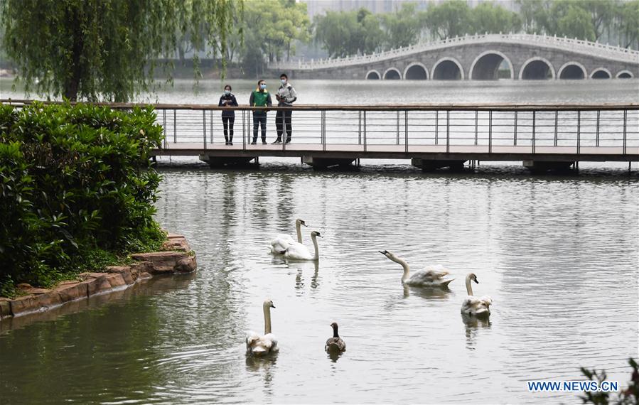 CHINA-HUBEI-WUHAN-ZOO-REOPENING (CN)