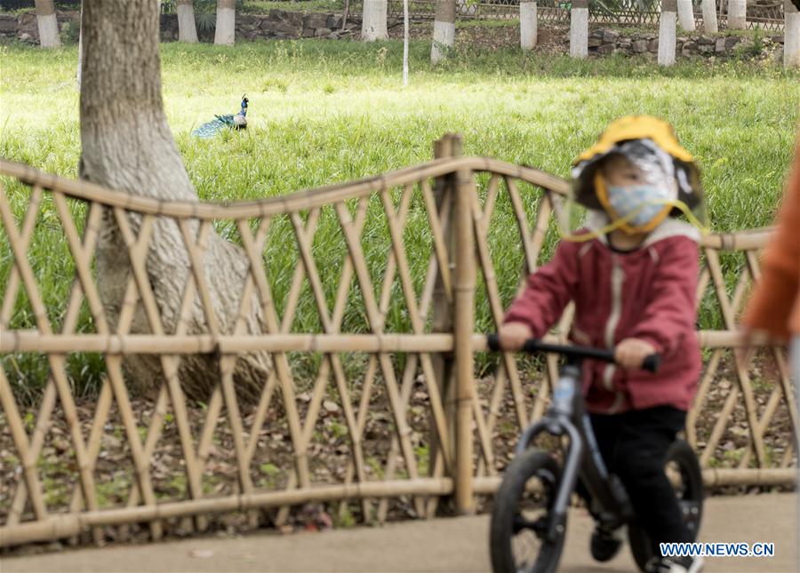 CHINA-HUBEI-WUHAN-ZOO-REOPENING (CN)