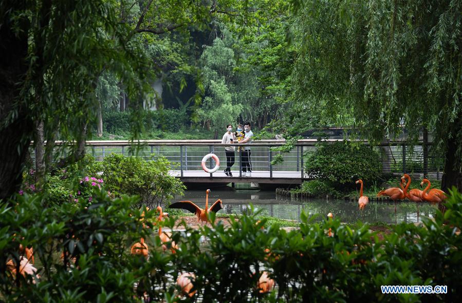 CHINA-HUBEI-WUHAN-ZOO-REOPENING (CN)