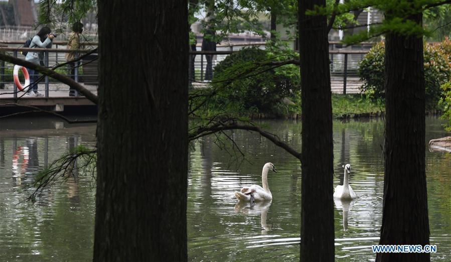 CHINA-HUBEI-WUHAN-ZOO-REOPENING (CN)
