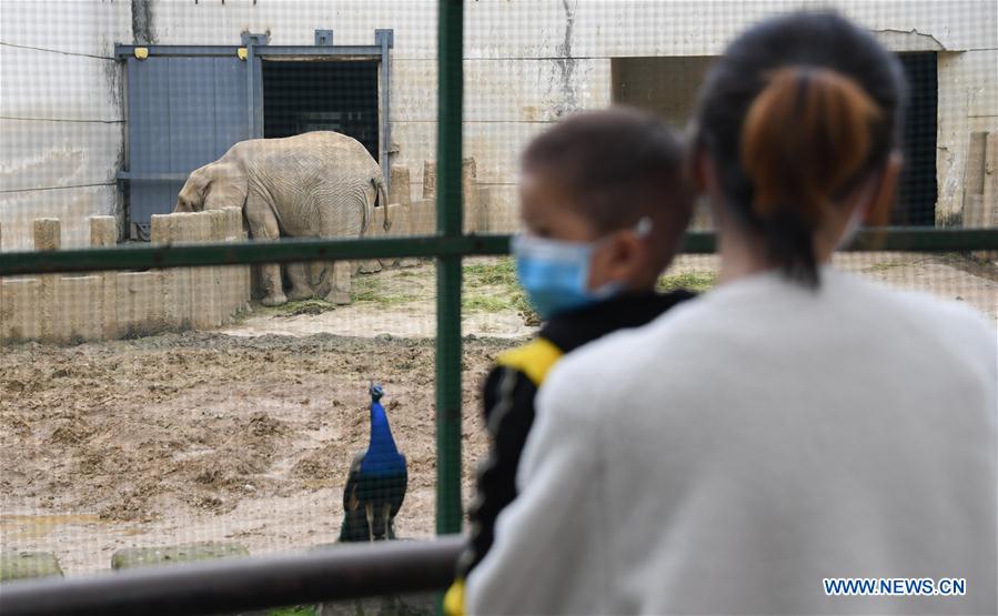 CHINA-HUBEI-WUHAN-ZOO-REOPENING (CN)