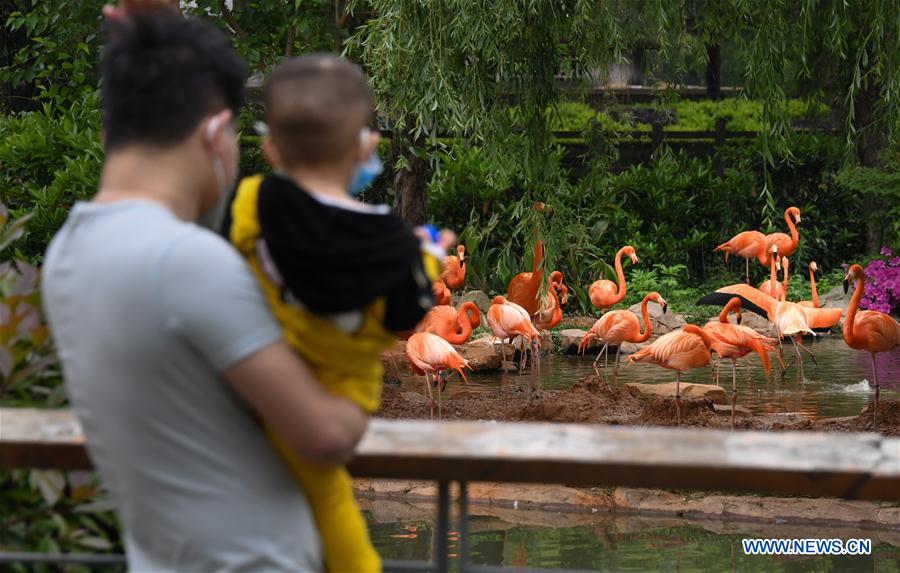 CHINA-HUBEI-WUHAN-ZOO-REOPENING (CN)