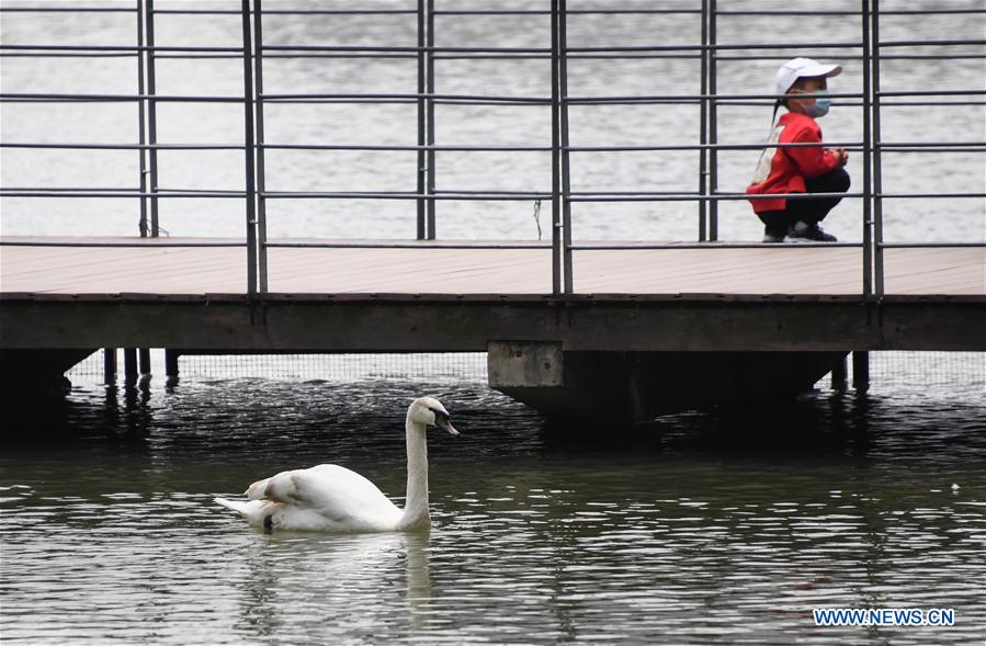 CHINA-HUBEI-WUHAN-ZOO-REOPENING (CN)