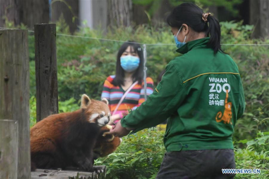 CHINA-HUBEI-WUHAN-ZOO-REOPENING (CN)
