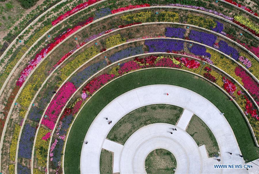 CHINA-SHAANXI-XI'AN-ECOLOGY (CN)