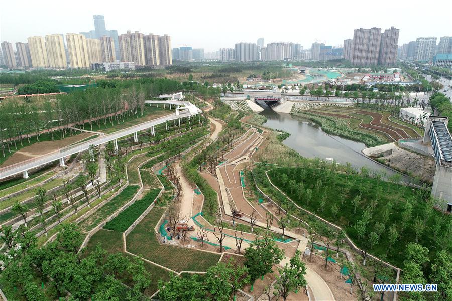 CHINA-SHAANXI-XI'AN-ECOLOGY (CN)