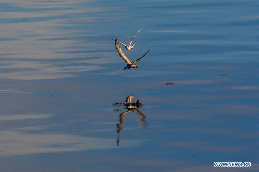 THE PHILIPPINES-MANILA-PASAY CITY-SUNSET