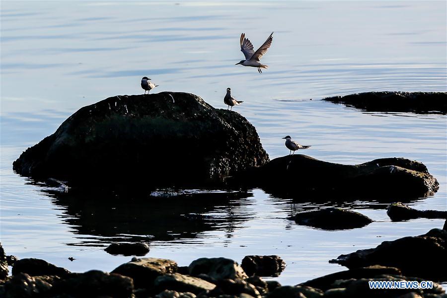 THE PHILIPPINES-MANILA-PASAY CITY-SUNSET