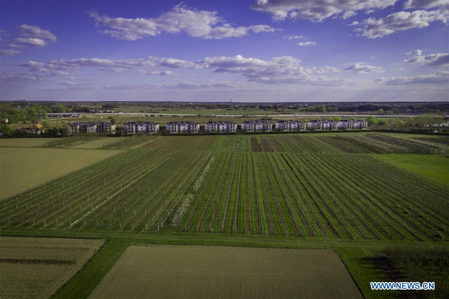 POLAND-WARSAW-DROUGHT