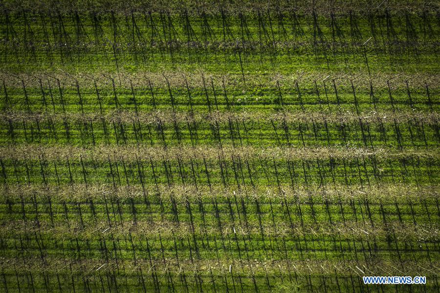 POLAND-WARSAW-DROUGHT