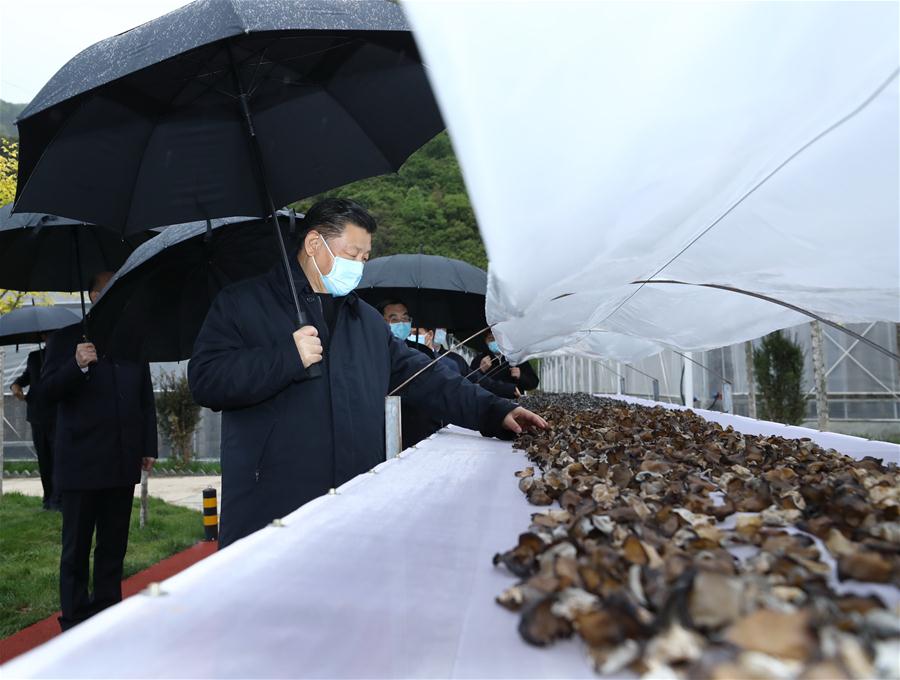 CHINA-SHANNXI-XI JINPING-INSPECTION (CN)