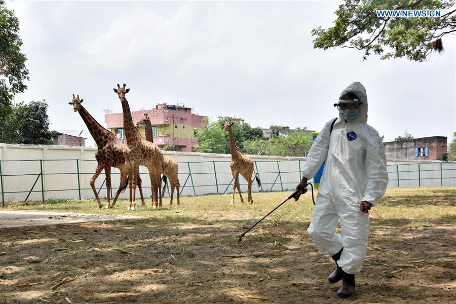 BANGLADESH-DHAKA-ZOO-COVID-19-MEASURE