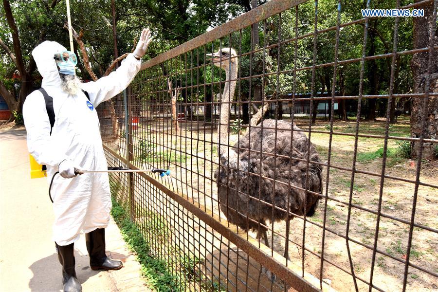 BANGLADESH-DHAKA-ZOO-COVID-19-MEASURE