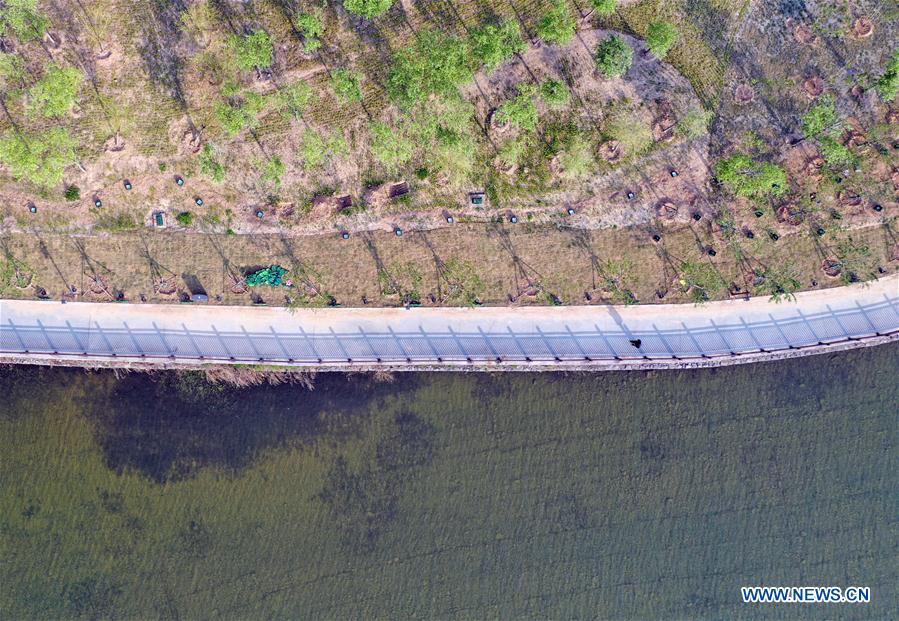 CHINA-HENAN-HEBI-SPRING SCENERY(CN)