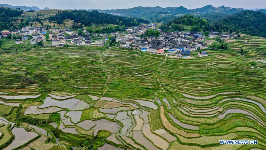 CHINA-GUIZHOU-DANZHAI-TERRACED FIELD-SCENERY (CN)
