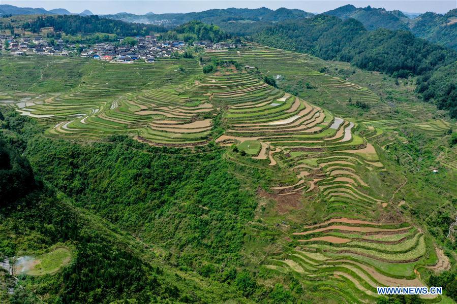 Scenery of Gaoyao terraced fields in Guizhou Xinhua English.news.cn