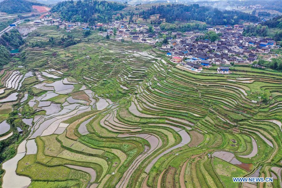 Scenery of Gaoyao terraced fields in Guizhou Xinhua English.news.cn