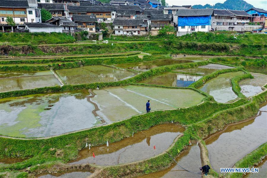 CHINA-GUIZHOU-DANZHAI-TERRACED FIELD-SCENERY (CN)