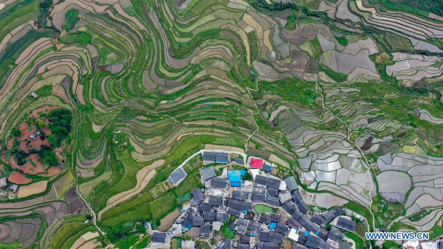 CHINA-GUIZHOU-DANZHAI-TERRACED FIELD-SCENERY (CN)