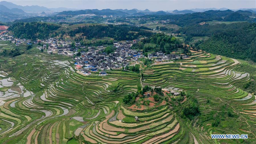 CHINA-GUIZHOU-DANZHAI-TERRACED FIELD-SCENERY (CN)