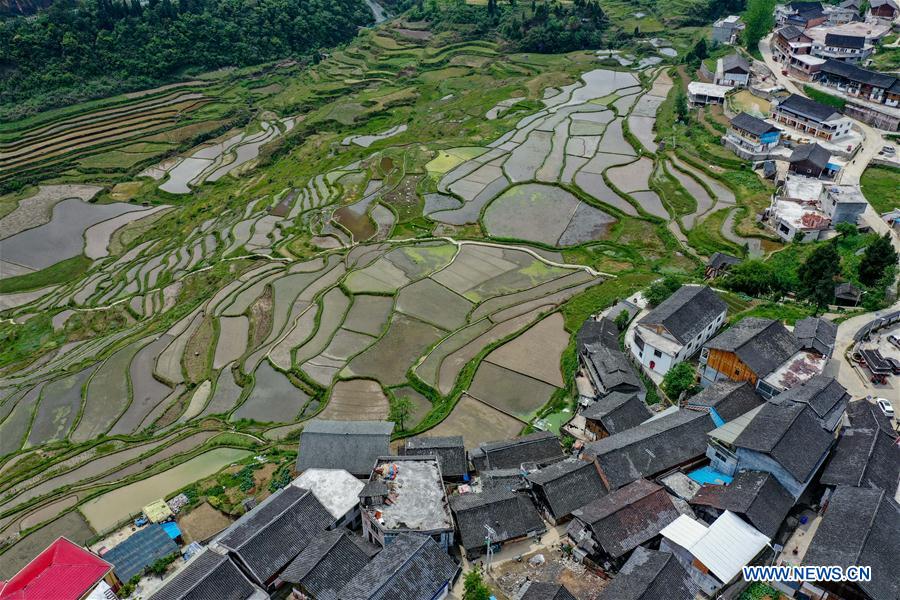 Scenery of Gaoyao terraced fields in Guizhou Xinhua English.news.cn