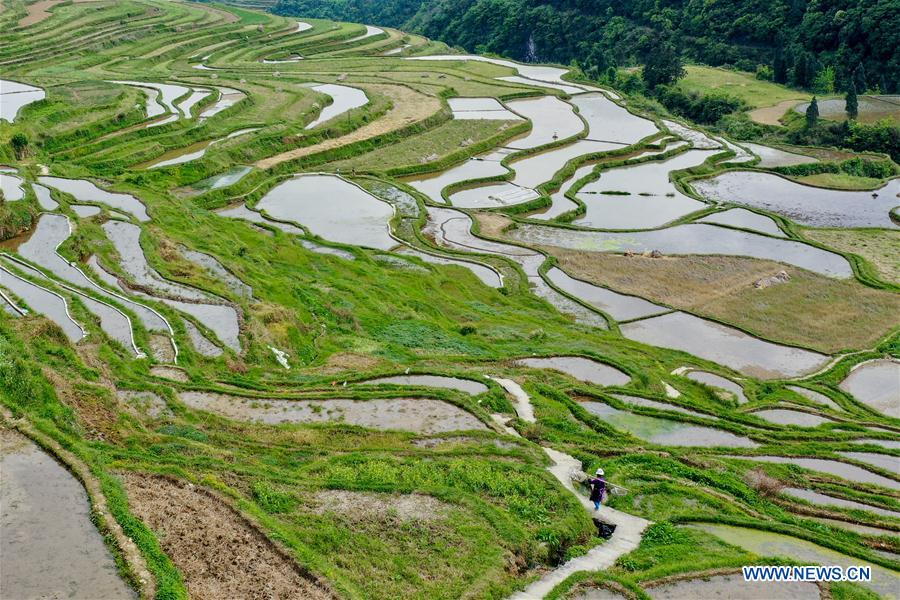 CHINA-GUIZHOU-DANZHAI-TERRACED FIELD-SCENERY (CN)