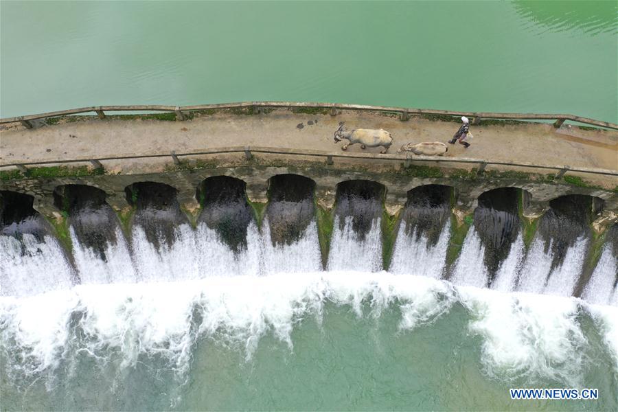CHINA-GUANGXI-LONGAN-SPRING SCENERY (CN)