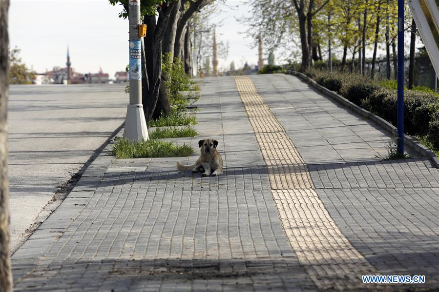 TURKEY-ANKARA-COVID-19-CURFEW