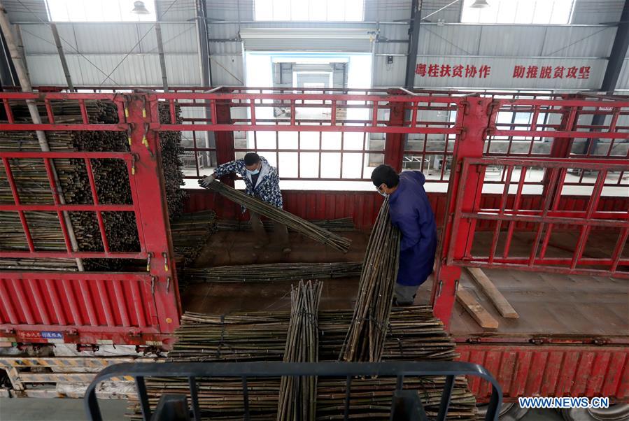 CHINA-GUANGXI-RONGAN-PRODUCTION RESUMPTION (CN)