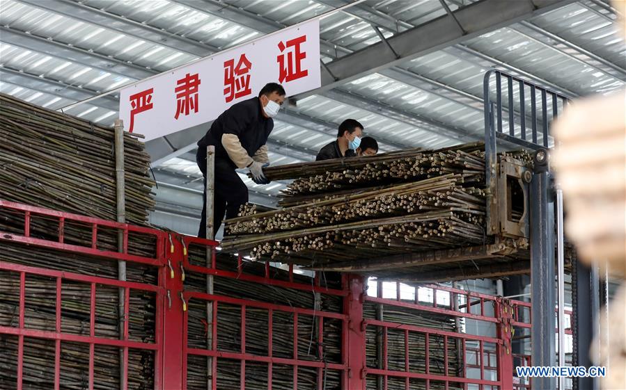 CHINA-GUANGXI-RONGAN-PRODUCTION RESUMPTION (CN)