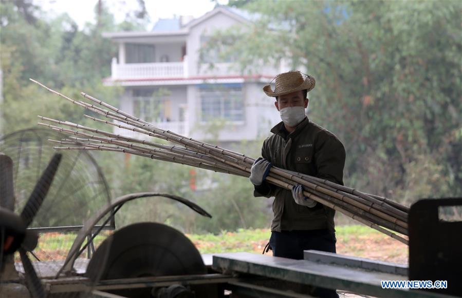 CHINA-GUANGXI-RONGAN-PRODUCTION RESUMPTION (CN)