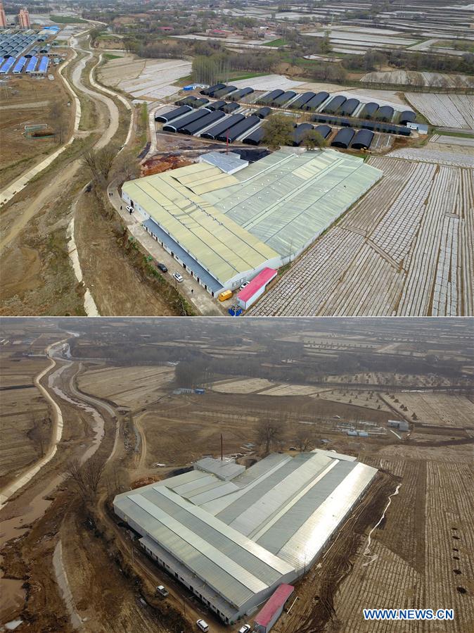 CHINA-GANSU-DONGXIANG-POVERTY ALLEVIATION (CN)