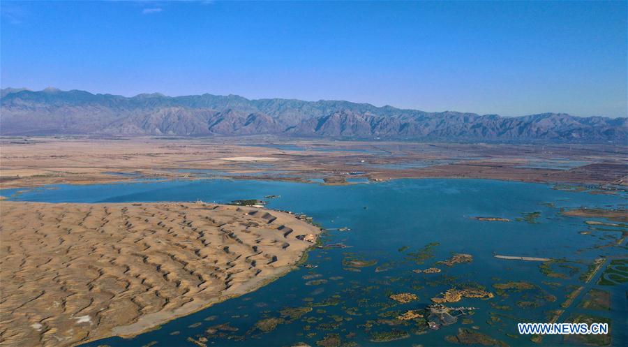 CHINA-NINGXIA-MIGRATORY BIRDS-SHAHU LAKE (CN)