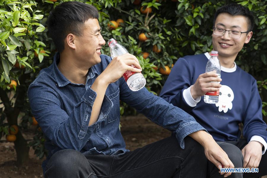 CHINA-SICHUAN-CHENGDU-ONLINE PROMOTION-TANGERINE (CN)