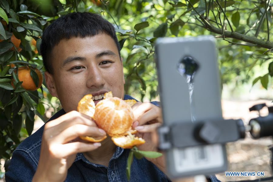 CHINA-SICHUAN-CHENGDU-ONLINE PROMOTION-TANGERINE (CN)