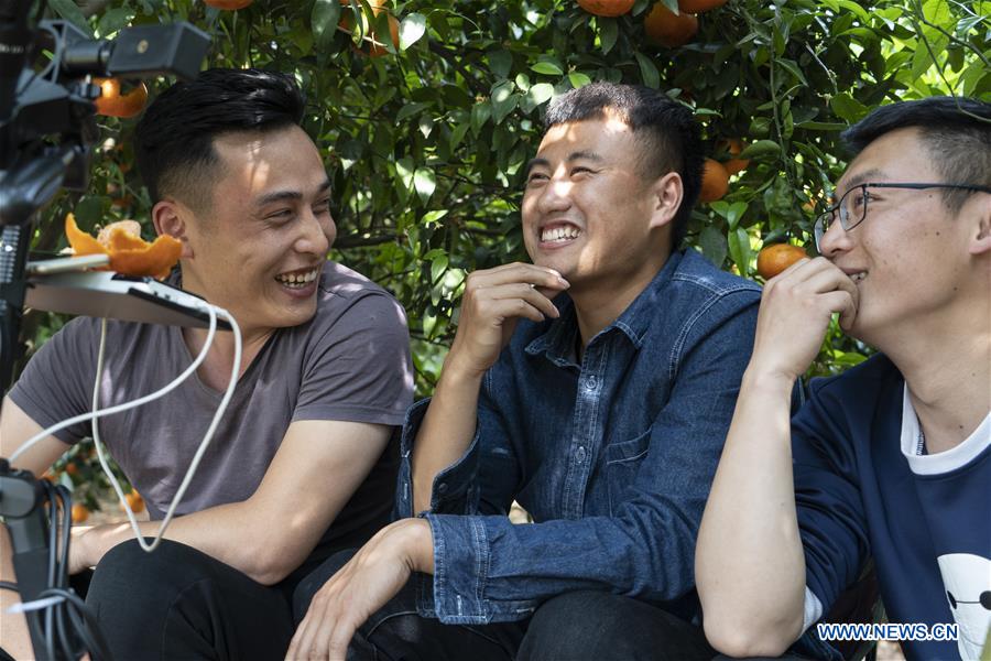 CHINA-SICHUAN-CHENGDU-ONLINE PROMOTION-TANGERINE (CN)