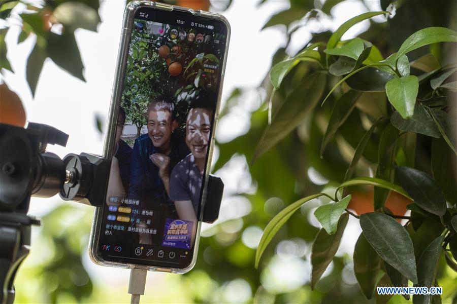 CHINA-SICHUAN-CHENGDU-ONLINE PROMOTION-TANGERINE (CN)