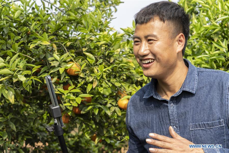 CHINA-SICHUAN-CHENGDU-ONLINE PROMOTION-TANGERINE (CN)