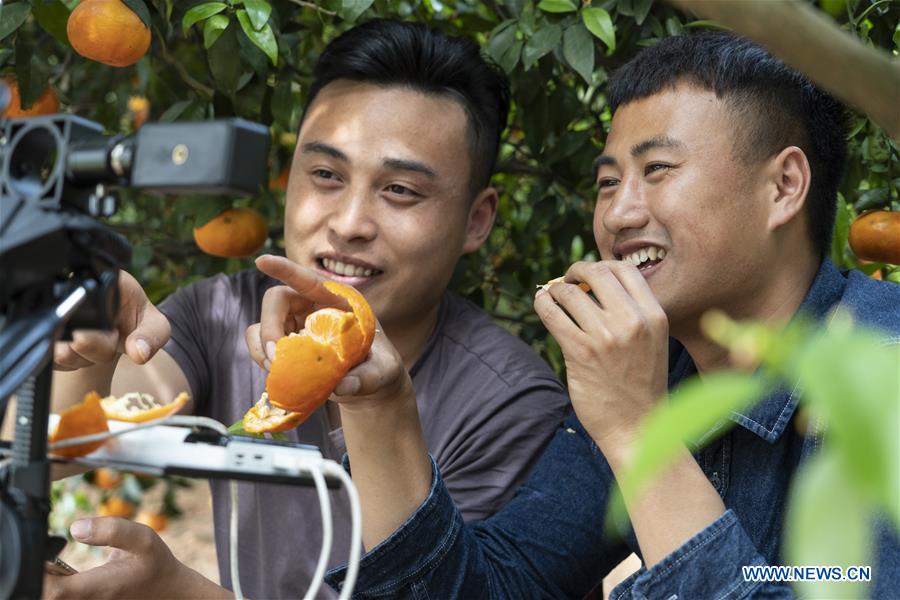 CHINA-SICHUAN-CHENGDU-ONLINE PROMOTION-TANGERINE (CN)