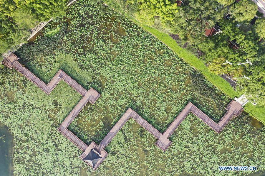 CHINA-GUANGXI-NANNING-SPRING (CN)