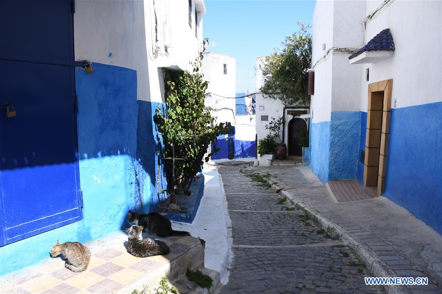 XINHUA PHOTOS OF THE DAY