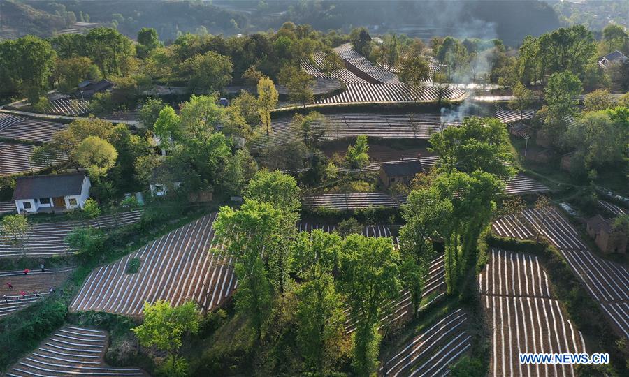 CHINA-SHAANXI-LUONAN-FARM FIELDS-SCENERY (CN)